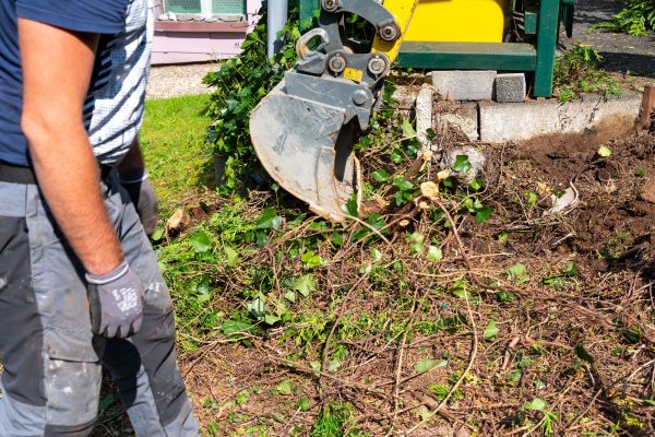 Hedge Removal Service in La Quinta