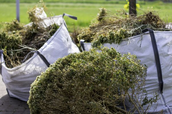 Cost of Shrubs Removal in La Quinta