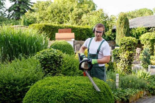 Shrubs Trimming in La Quinta