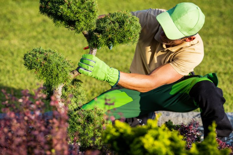 Shrub Trimming in Spring